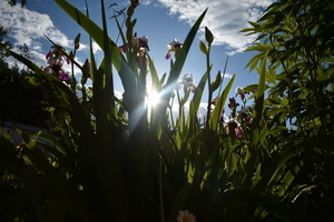 Image-preview_300x200