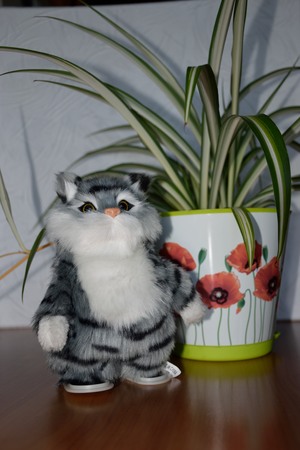 Image-preview_300x200