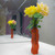 Image-square_50
