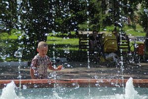 Image-preview_300x200