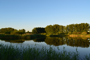 Image-preview_300x200