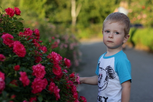 Image-preview_300x200