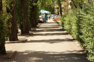 Image-preview_300x200