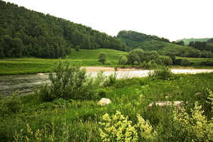 Image-preview_300x200