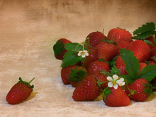 Image-rectangle_220_165