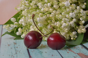 Image-preview_300x200