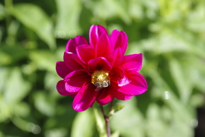 Image-preview_300x200