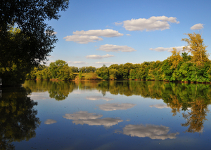 Image-preview_300x200