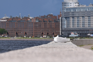 Image-preview_300x200