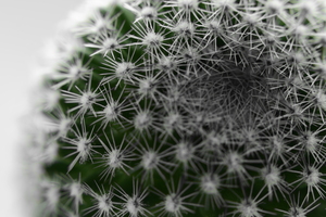 Image-preview_300x200