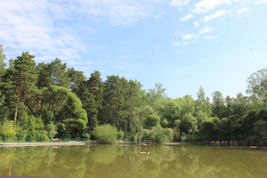 Image-preview_300x200