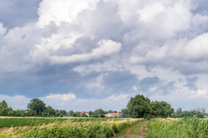 Image-preview_300x200