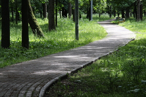 Image-preview_300x200