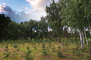 Image-preview_300x200