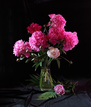 Image-preview_300x200