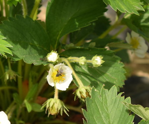 Image-preview_300x200