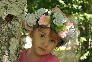 Image-preview_300x200