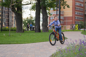 Image-preview_300x200