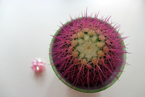 Image-preview_300x200