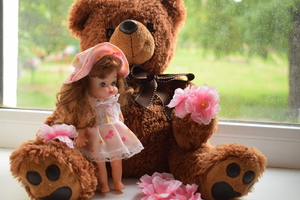 Image-preview_300x200