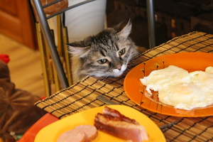 Image-preview_300x200