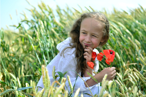 Image-preview_300x200