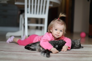 Image-preview_300x200