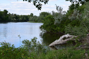 Image-preview_300x200