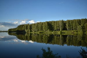 Image-preview_300x200