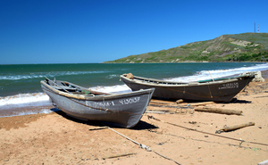 Image-preview_300x200