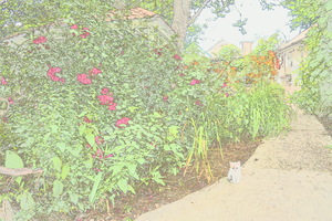 Image-preview_300x200