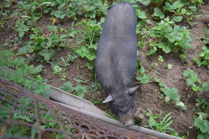 Image-preview_300x200