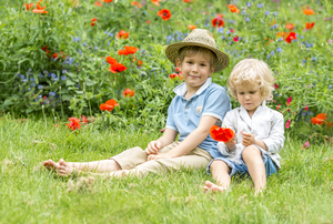 Image-preview_300x200