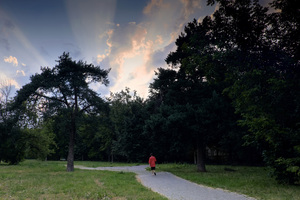 Image-preview_300x200