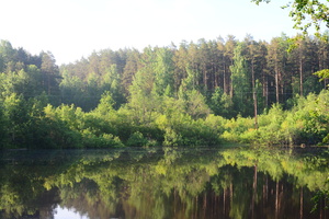 Image-preview_300x200