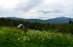 Image-preview_300x200