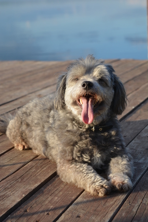 Image-preview_300x200