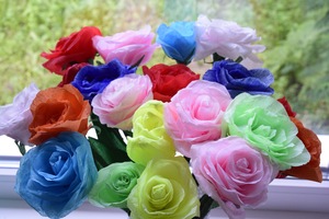 Image-preview_300x200