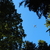 Image-square_50