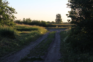 Image-preview_300x200