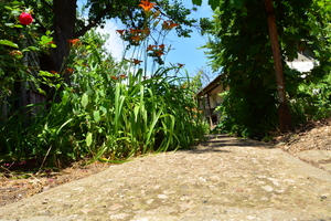 Image-preview_300x200