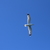 Image-square_50