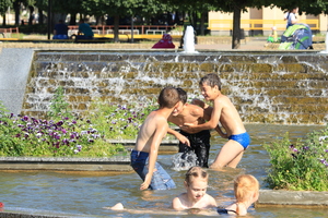 Image-preview_300x200