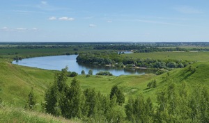 Image-preview_300x200