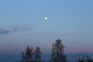 Image-preview_300x200