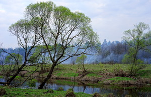 Image-preview_300x200