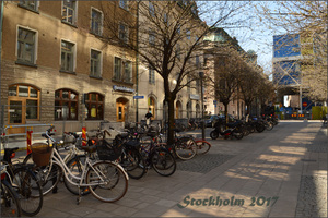 Image-preview_300x200