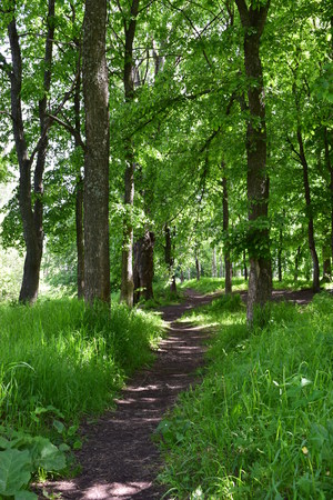 Image-preview_300x200