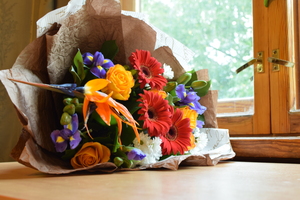 Image-preview_300x200