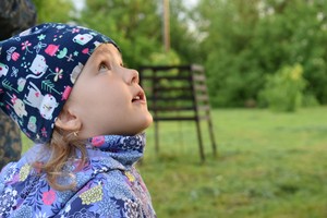 Image-preview_300x200